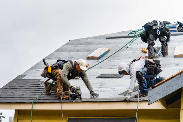 Professional Gutter Installation technician working in Hampton, MN